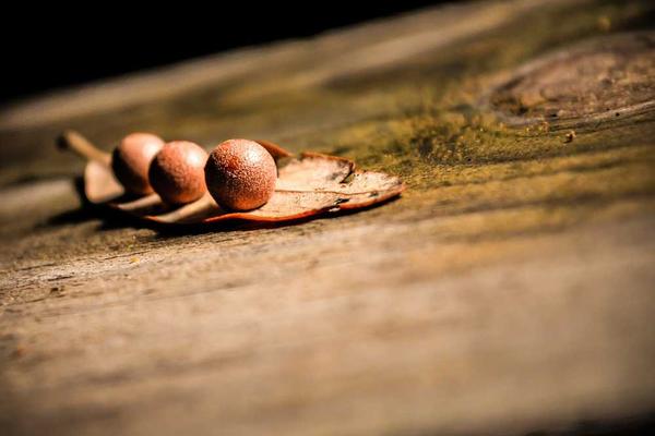 源于系统化的健康管理体系相关的高质量图像