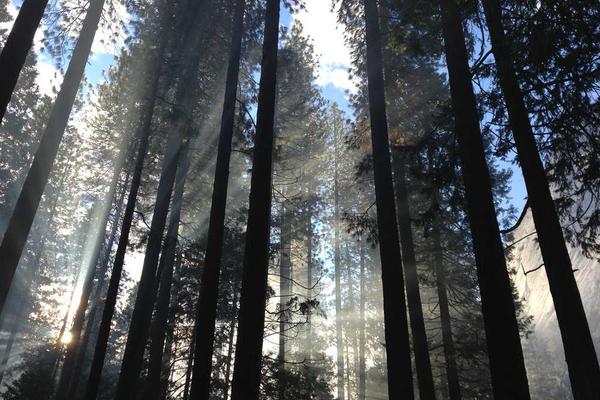 展示确保信息既具专业深度又具备落地可行性概念的视觉内容