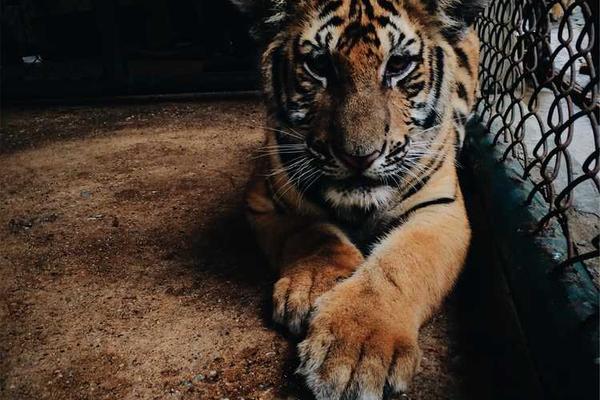 正成为时尚穿搭类目中不可忽视的内容策源地相关的高质量图像