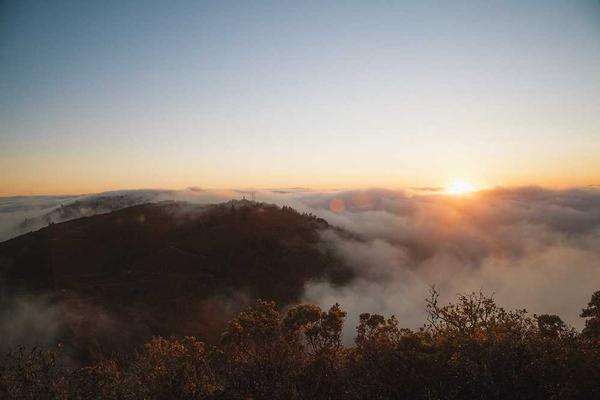 关于时尚叙事中的情绪符号的专业图片