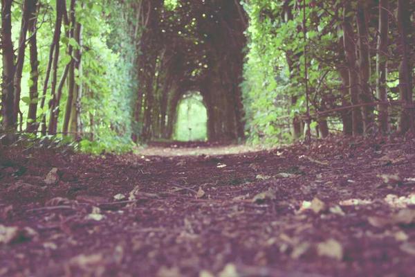 abstract主题的精美插图