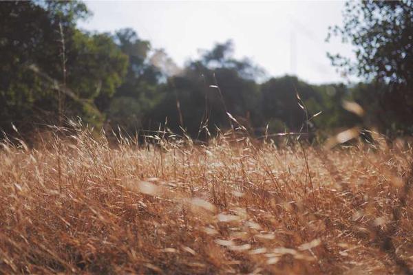 与creative相关的创意图片