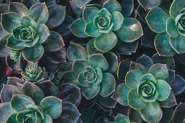 展示digital概念的视觉内容