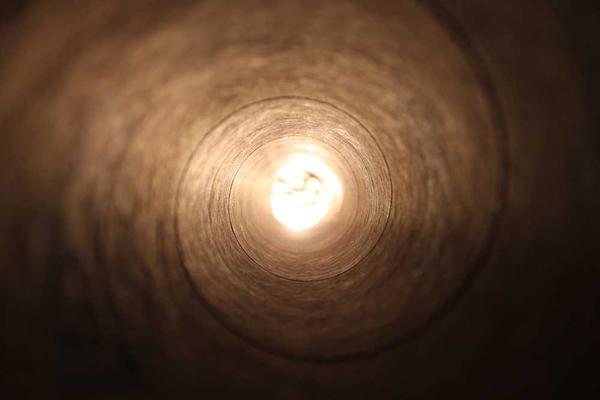 growth相关的高质量图像