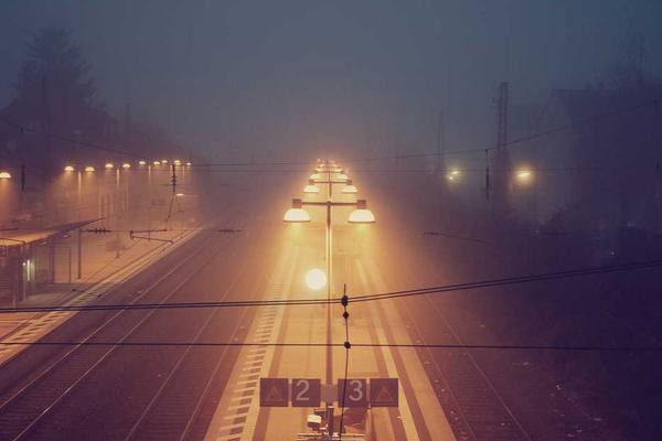 growth相关的高质量图像