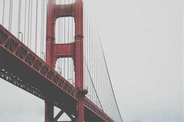 展示professional概念的视觉内容