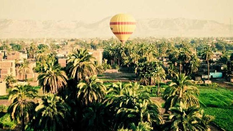 abstract主题的精美插图