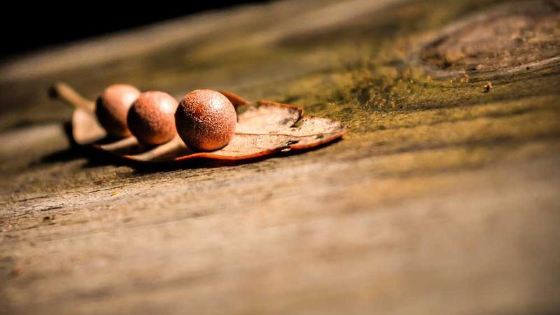 与abstract相关的创意图片