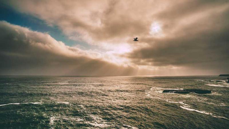 关于business的专业图片