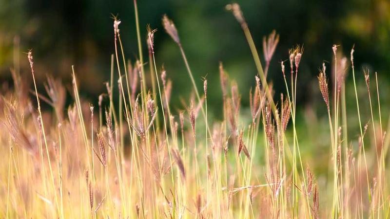 与cooking相关的创意图片