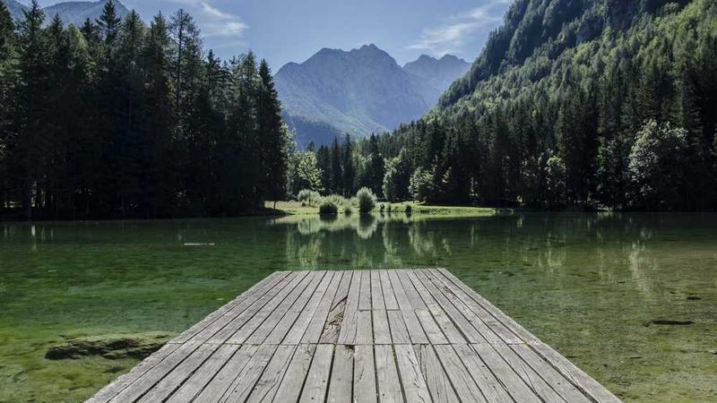 digital主题的精美插图