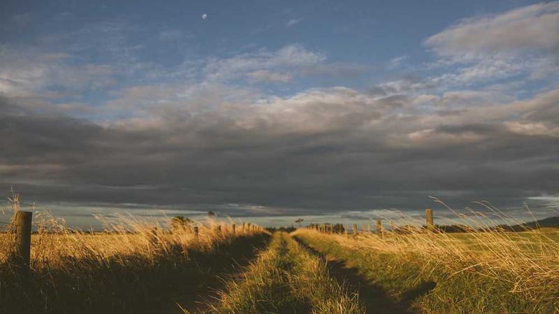 modern主题的精美插图