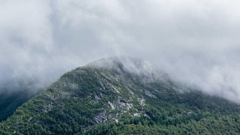 展示professional概念的视觉内容