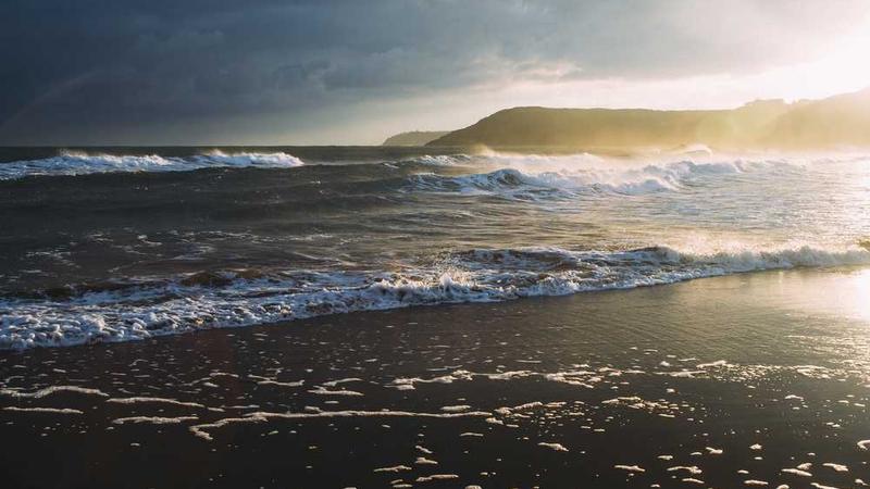 与study相关的创意图片