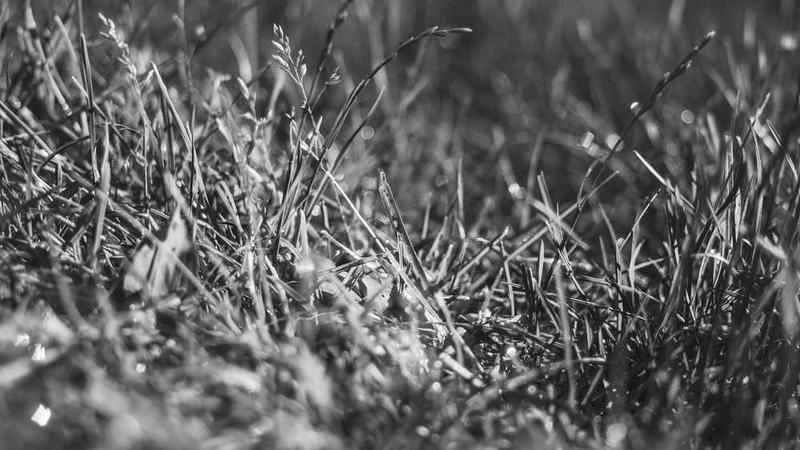 success主题的精美插图